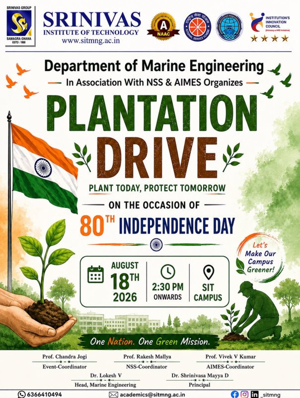 Plantation Drive - Image 4
